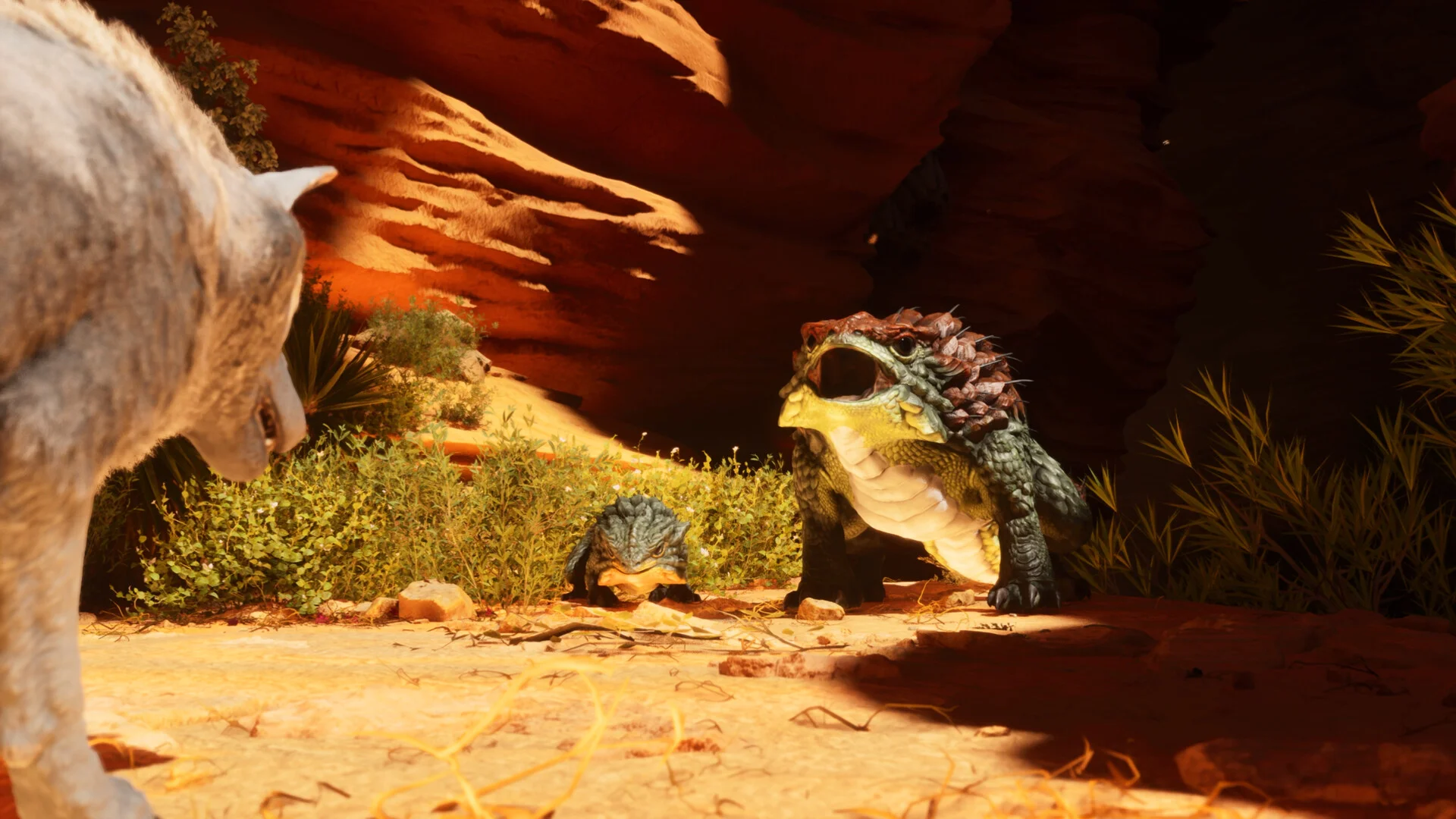 Pustynny krajobraz o zachodzie słońca w ARK Survival Ascended