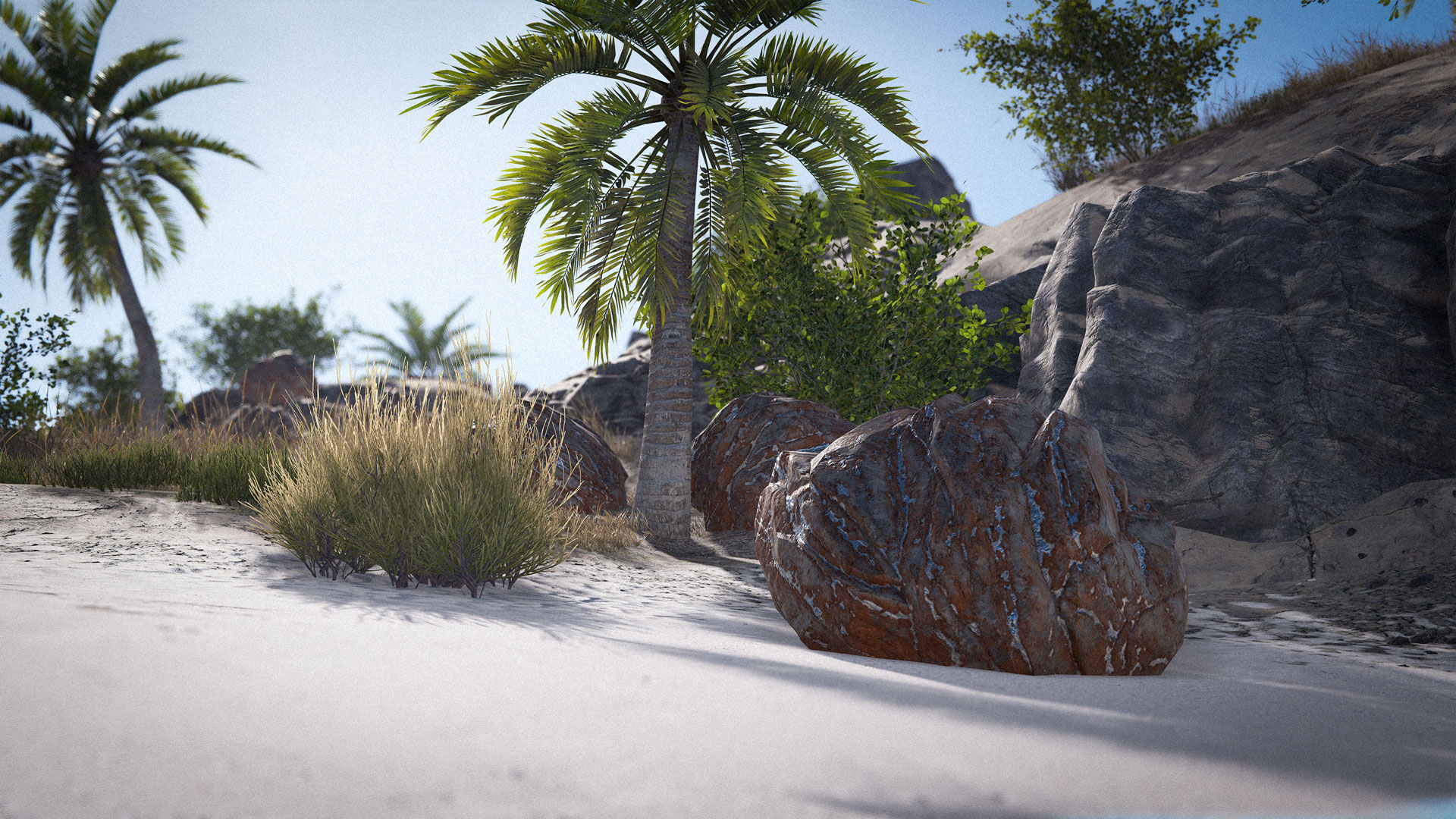 Rust strandbiom med palmer och klippig kustlinje