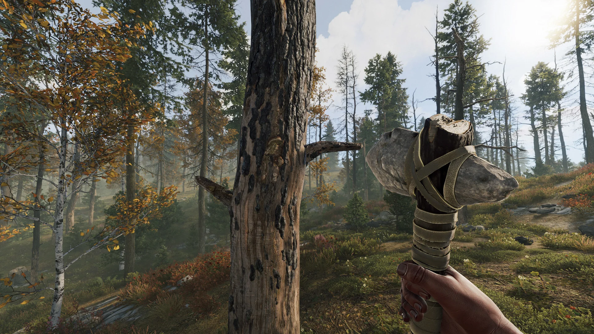 Gathering resources in a forest biome in Rust