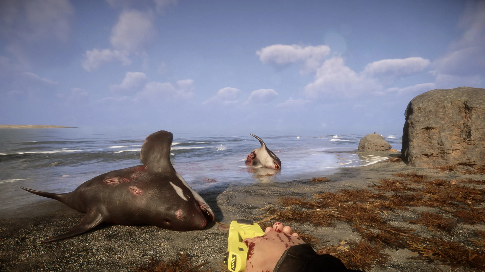 The beach near the crash site in Sons Of The Forest