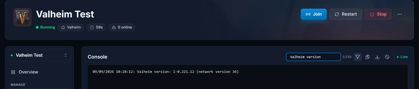 Konsolfliken i DoomHosting-panelen med textfiltret satt till Valheim version, så att bara raden med serverns build och network version står kvar