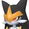 Flaracle