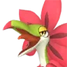 Tropicaw