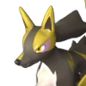 Rayhound